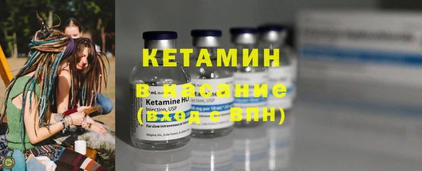 прущие грибы Абинск