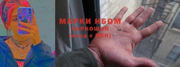 прущие грибы Абинск