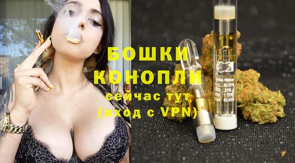 сатива Абдулино