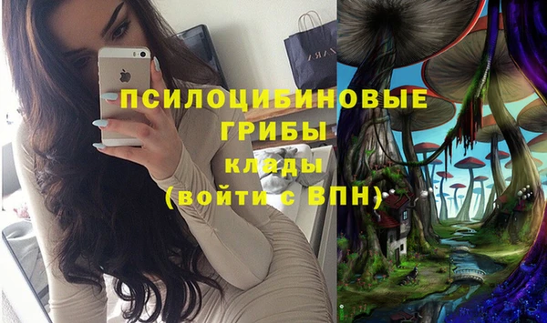 сатива Абдулино