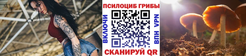 где продают наркотики  Оренбург  Псилоцибиновые грибы Psilocybine cubensis 